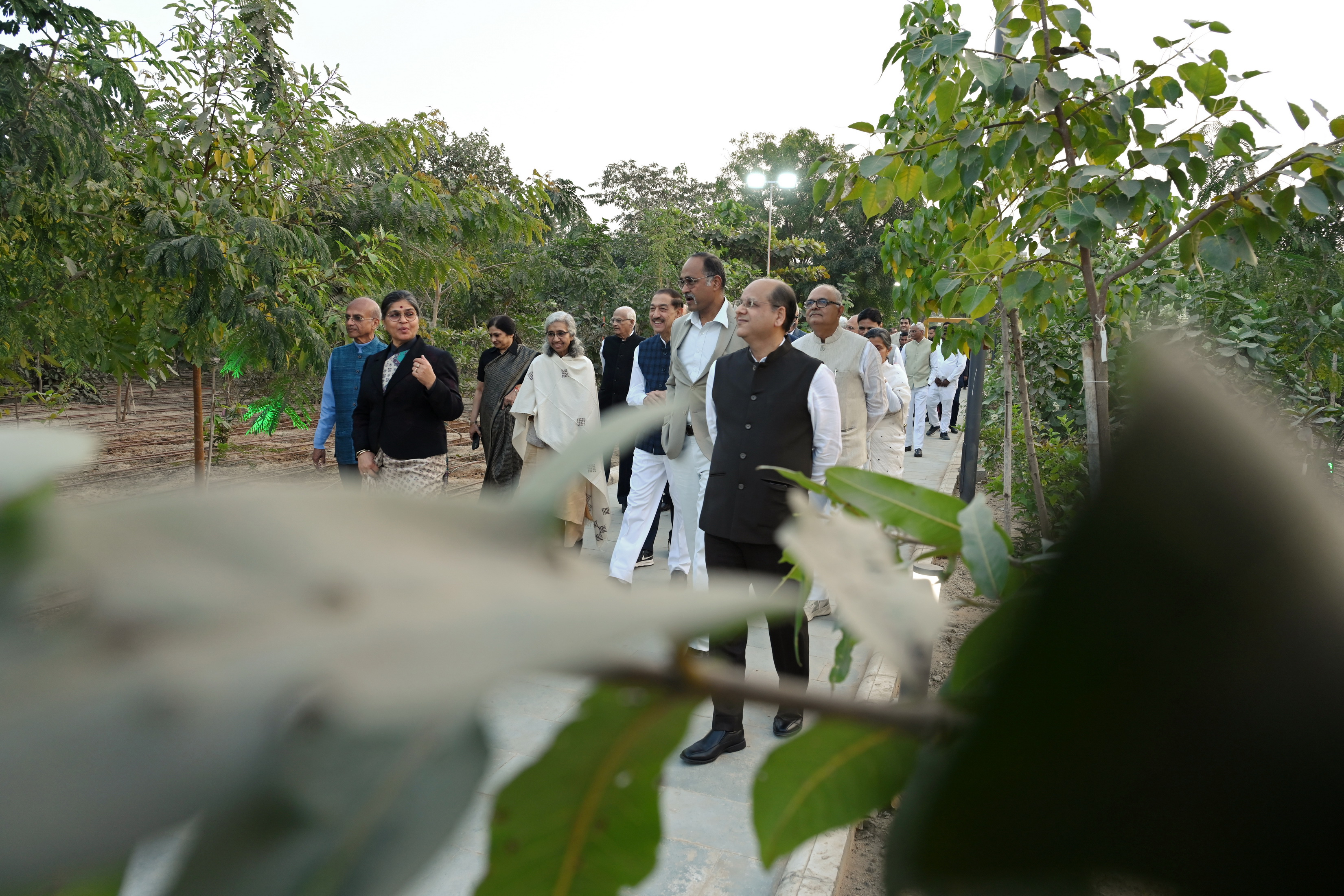 PictureGallery-172 - Photo-1