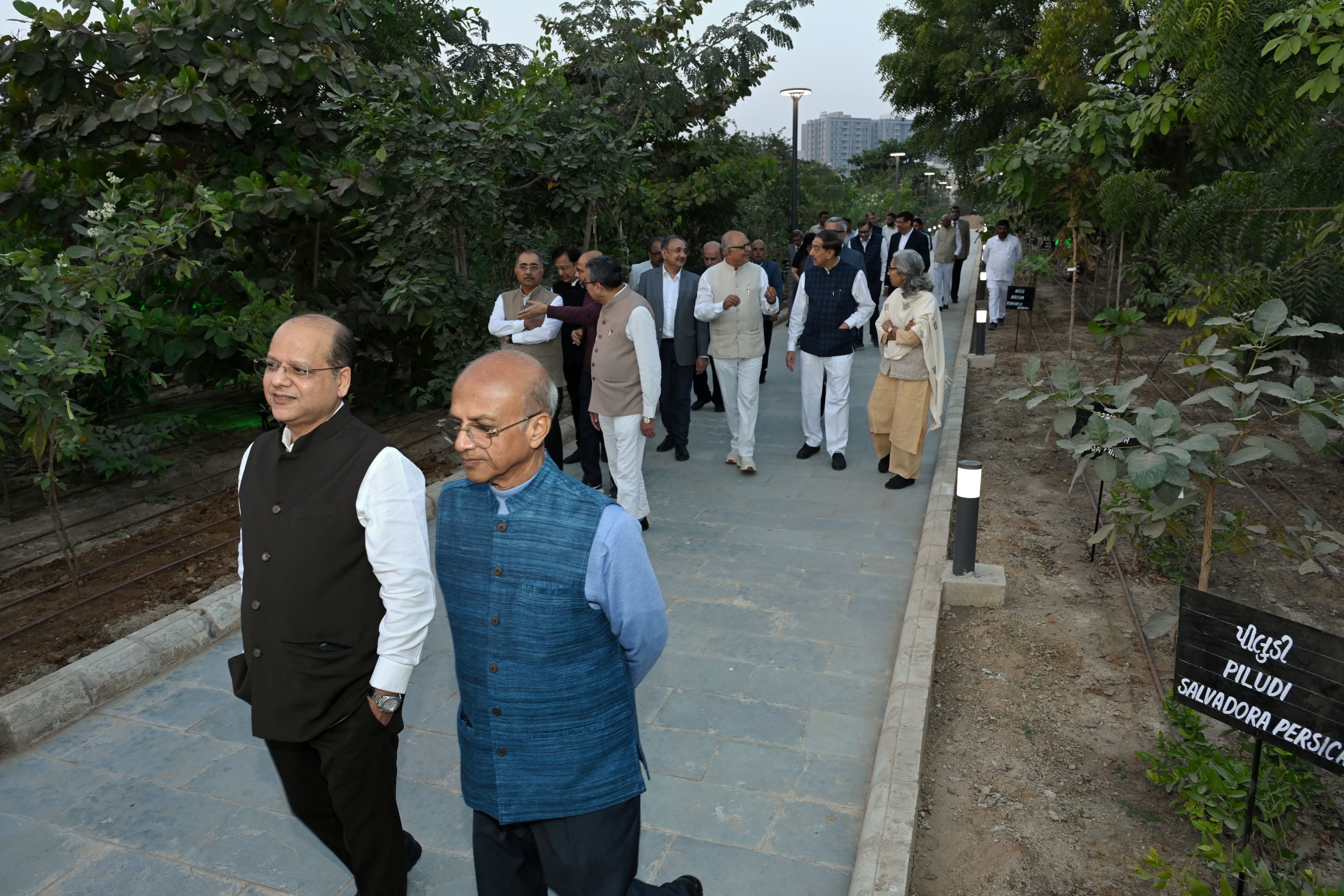 PictureGallery-172 - Photo-1